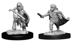 D&D Halfling Rogue Male 90139